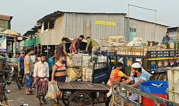 পাঙাশ মাছের বৃহত্তম আড়ত দ্বীপনগর: দিনে ৪৯ হাজার কেজি পাঙাশের লেনদেন, বিক্রি হয় আড়াই কোটি টাকার দেশি-বিদেশি মাছ